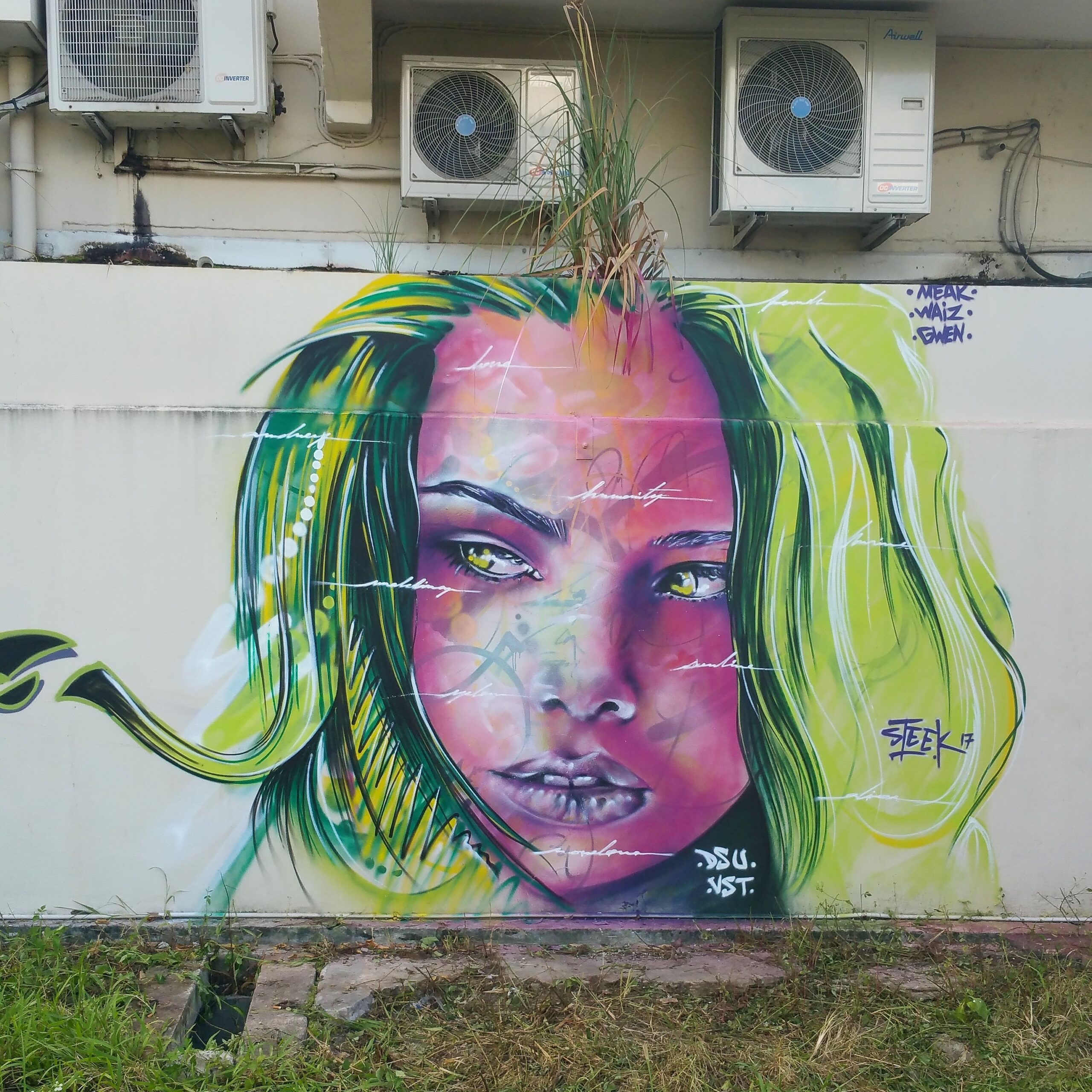 STEEK - Graffiti and Bodypainting Artist from Guadeloupe FWI